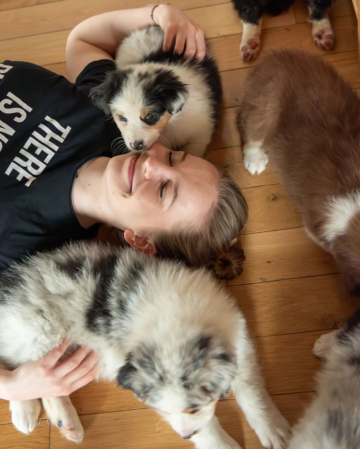 paw yoga joga časovi sa štencima devojka leži sa osmehom na licu na drvenom podu sa kučićima pored nje